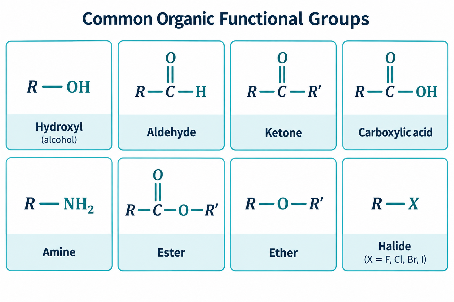 Common organic functional groups: hydroxyl, aldehyde, ketone, carboxylic acid, amine, ester, ether and halide with their structures